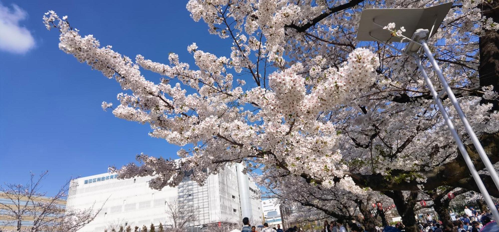 明月楼三零二 Apartman Tokió Kültér fotó